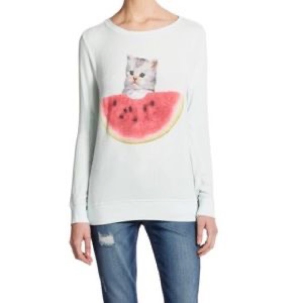 WILDFOX | Baggy Beach Jumper | watermelon kitten